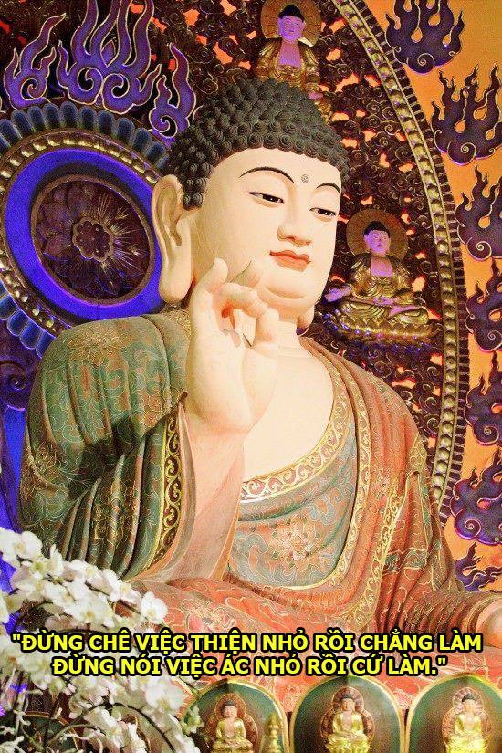 SỐ PHẬN THAY ĐỔI NHỜ ĐÂU ?