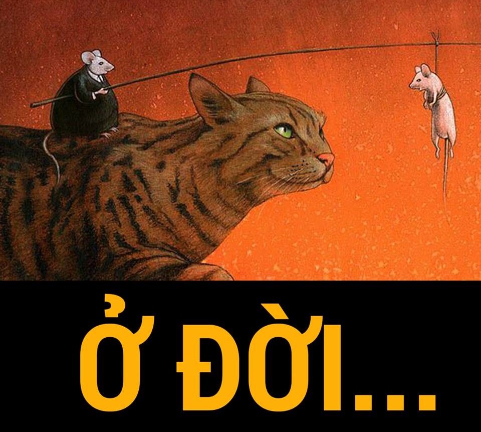 Ở đời...