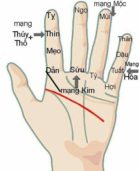 Cách tính tuổi -Thập Nhị Trực 